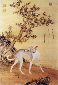 犬 Painting - Cangshuiqiu 十賞犬アルバムのチャイニーズ グレーハウンド ラング シャイニング ジュゼッペ カスティリオーネ犬